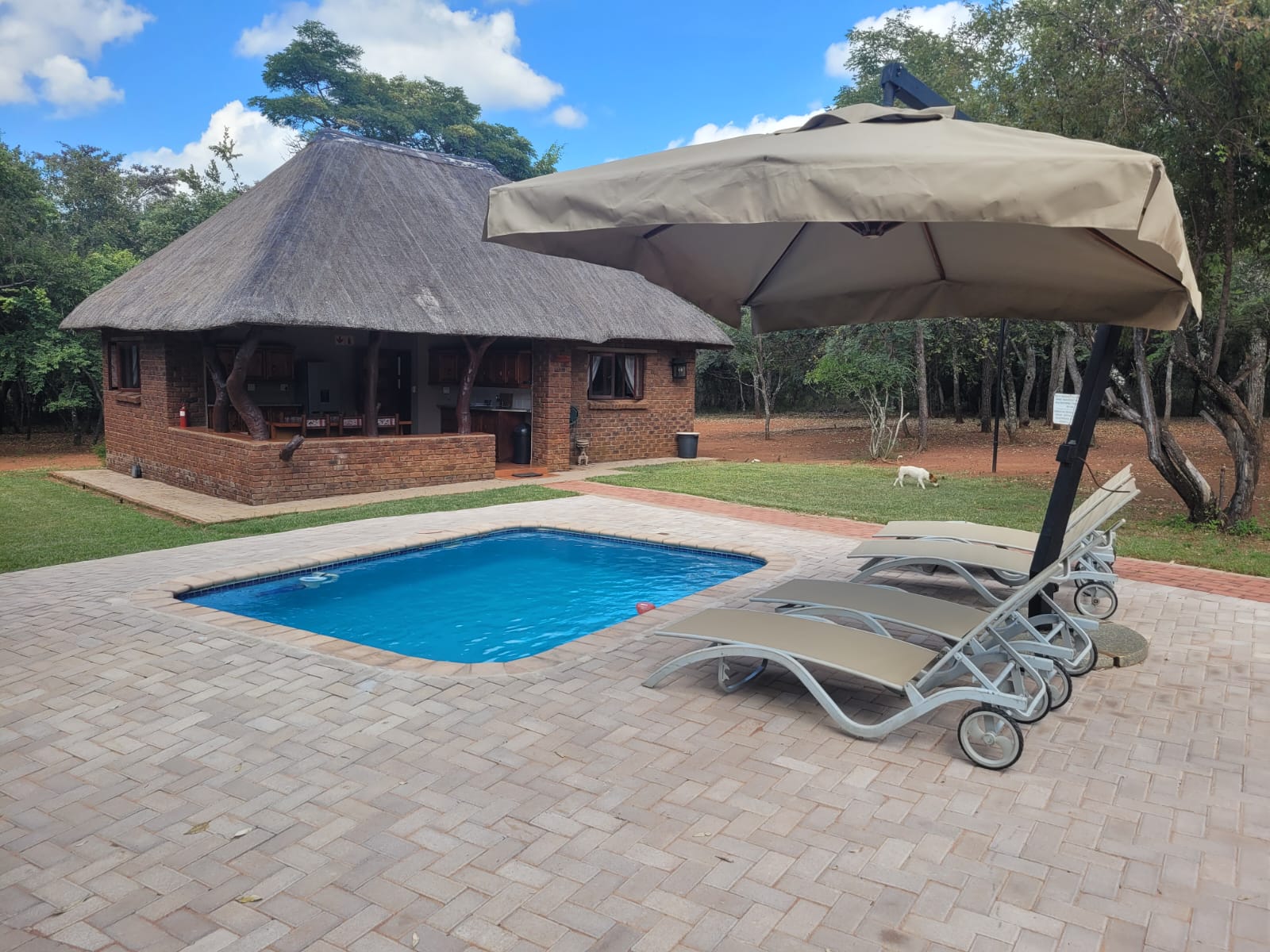 Accommodation Photo 26